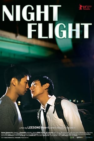 Poster Night Flight 2014
