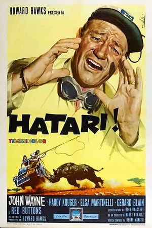 Poster Hatari! 1962