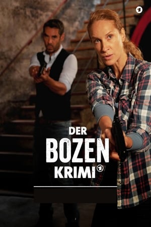 Poster Der Bozen Krimi 2015