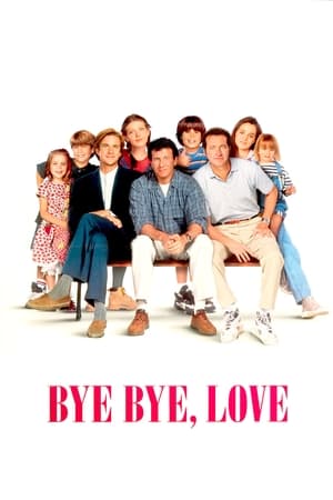 Poster Bye Bye Love 1995