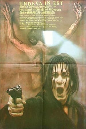 Poster Undeva în Est 1990