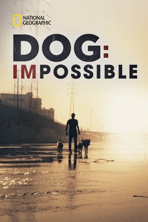 Poster Dog: Impossible 2019