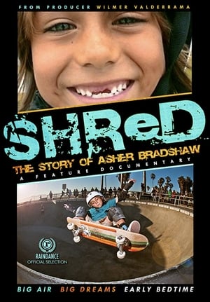 Poster Shred: The Story of Asher Bradshaw 2013