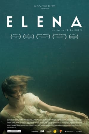Poster Elena 2013