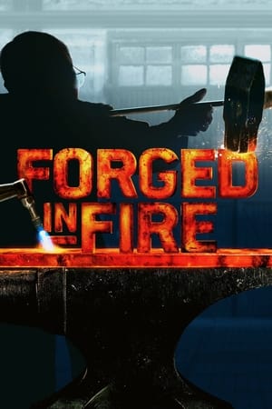 Poster Forged in Fire 2015