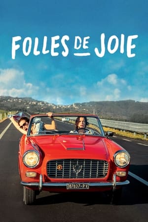 Poster Folles de joie 2016