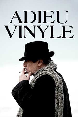 Poster Adieu vinyle 2023
