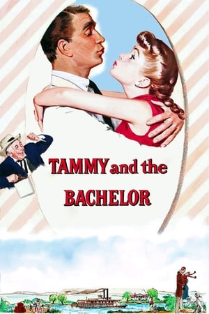 Poster Tammy fiore selvaggio 1957