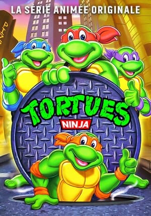 Poster Les Tortues Ninja Saison 4 Les tortues de la jungle 1990