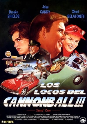 Poster Los locos del Cannonball 3 1989