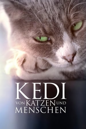 Poster Kedi - Von Katzen und Menschen 2017