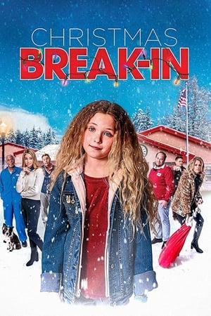 Poster Christmas Break-In 2018