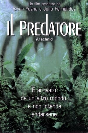 Poster Arachnid - Il predatore 2001