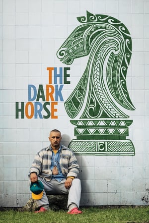 Poster The Dark Horse 2014
