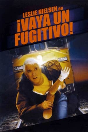 Poster ¡Vaya un fugitivo! 1998