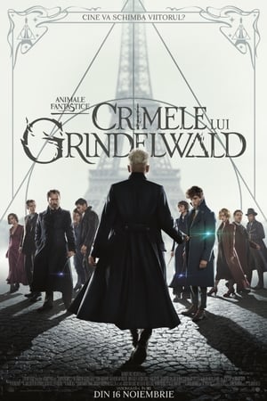 Image Animale fantastice: Crimele lui Grindelwald