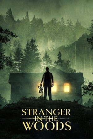 Poster Stranger in the Woods 2024