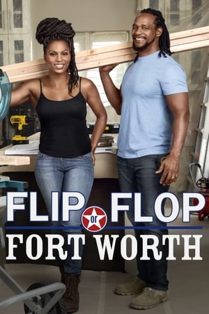 Poster Flip or Flop Fort Worth 2017