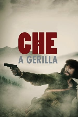 Poster Che - A gerilla 2008
