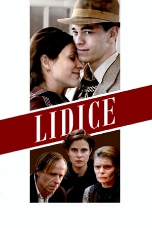 Poster Lidice 2011