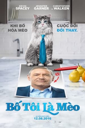 Poster Bố Tôi Là Mèo 2016