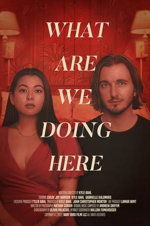 Poster What Are We Doing Here 2024