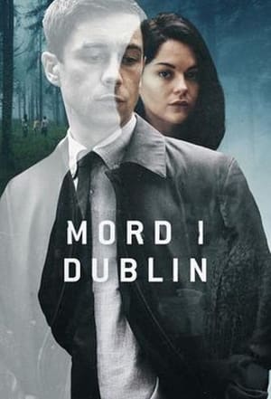 Poster Mord i Dublin 2019