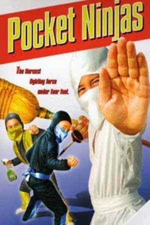 Poster Pocket Ninjas 1997