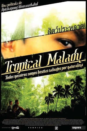 Poster Tropical Malady 2004