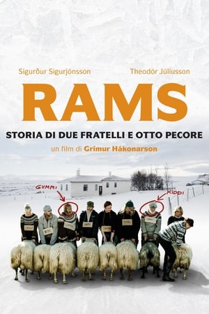 Poster Rams - Storia di due fratelli e otto pecore 2015