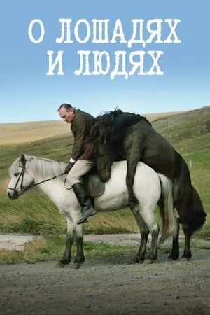 Poster О лошадях и людях 2013