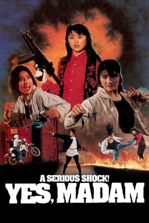 Poster A Serious Shock! Yes Madam! 1993
