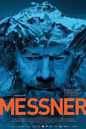 Poster Messner 2012