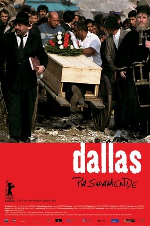 Poster Dallas Pashamende 2005