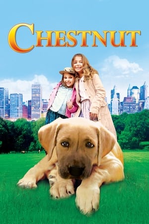 Poster Chestnut: Hero of Central Park 2004