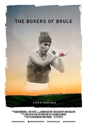 Poster The Boxers of Brule 2019