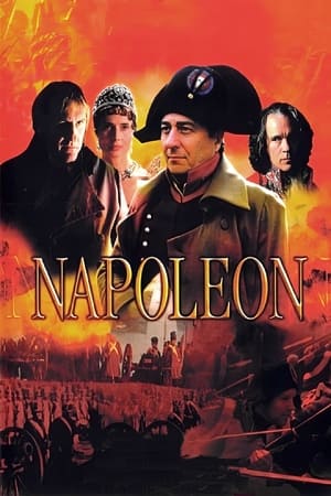 Poster Napoléon 2002