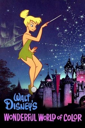 Poster Walt Disney's Wonderful World of Color Сезон 27 Епизод 4 1980