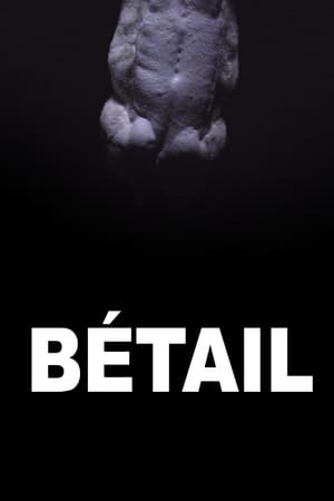 Poster Bétail 2014