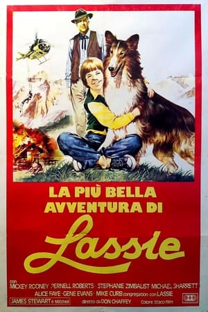 Image La più bella avventura di Lassie