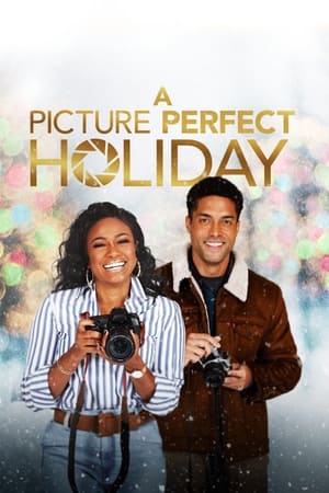 Poster A Picture Perfect Holiday 2021