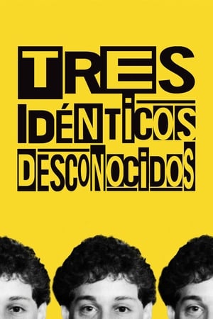 Poster Tres idénticos desconocidos 2018