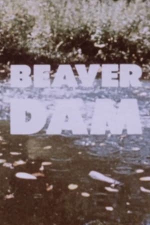 Image Beaver Dam