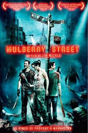 Poster Mulberry Street 2006