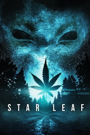 Poster Star Leaf 2015