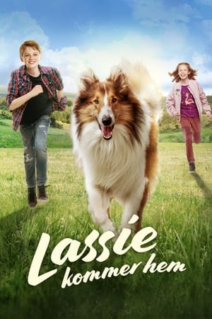 Image Lassie kommer hem
