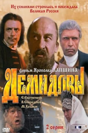 Poster Demidovy 1983