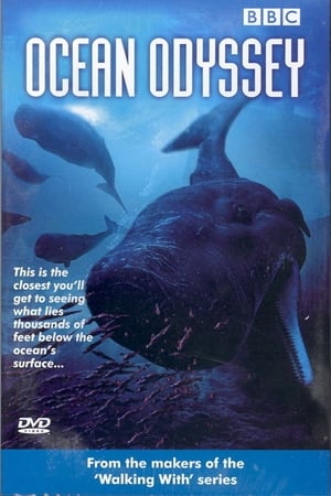 Poster Ocean Odyssey 2006