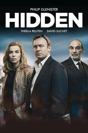 Poster Hidden 2011