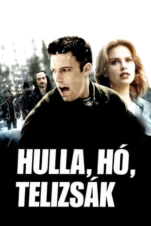 Poster Hulla, hó, telizsák 2000